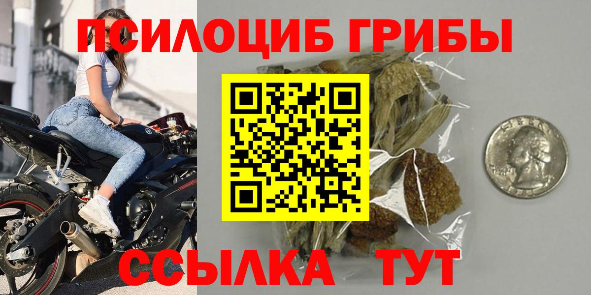 Сланцы  Галлюциногенные грибы прущие грибы  Галлюциногенные грибы ЛСД  Вход с VPN 