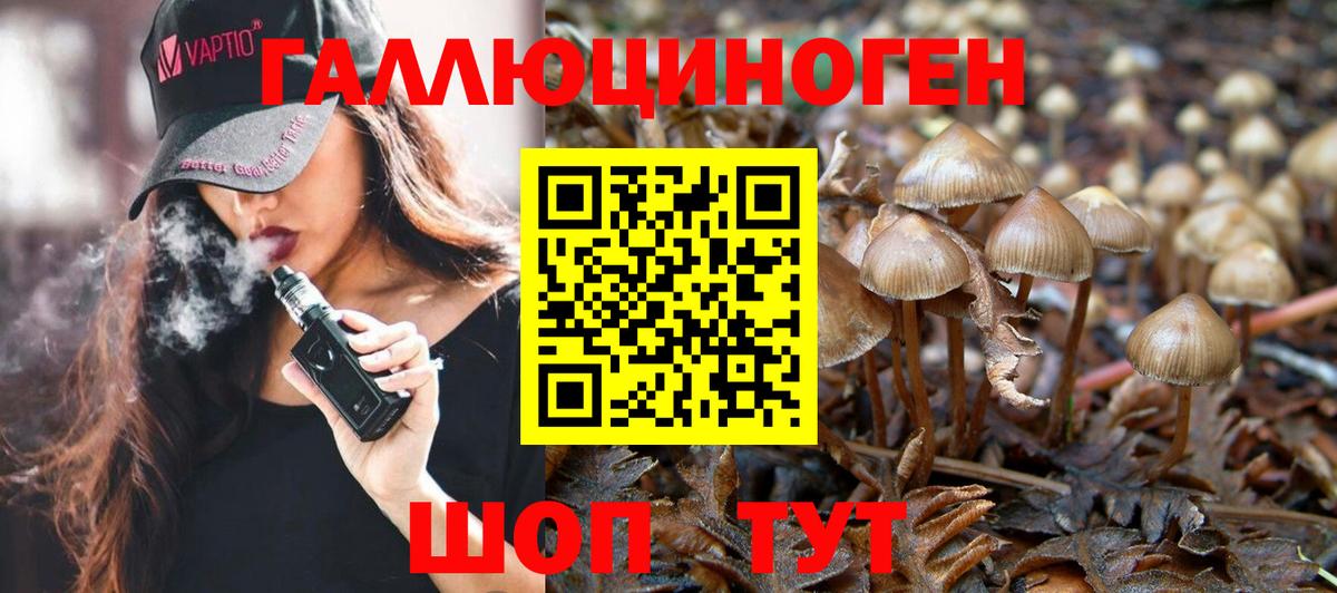 Псилоцибиновые грибы Magic Shrooms Сланцы